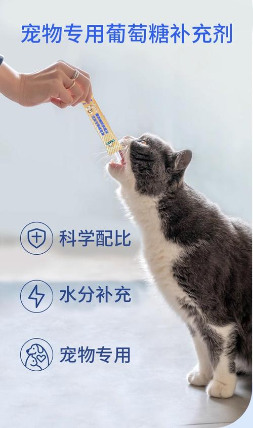 猫不进食可以喂葡萄糖吗
