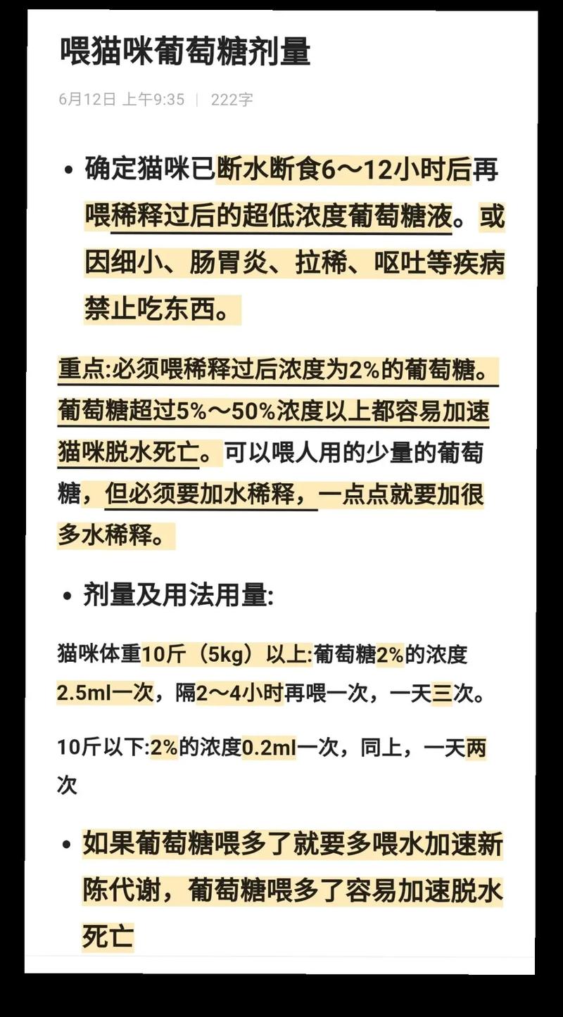 猫快饿死了喂葡萄糖行吗