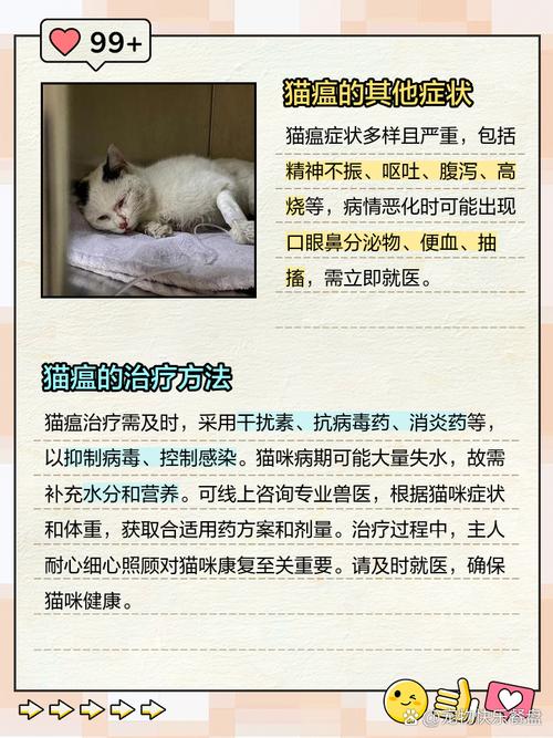 猫咪身体虚弱可以喝葡萄糖吗?会有什么影响?