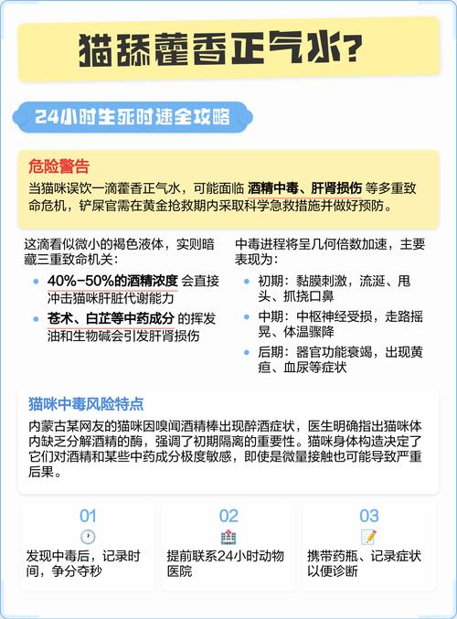 猫能吃藿香正气水吗