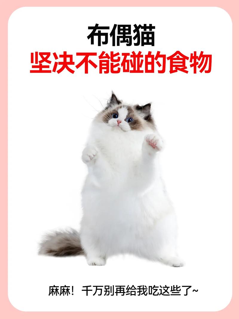 猫咪可以吃的10种水果(少量哦不能过多)