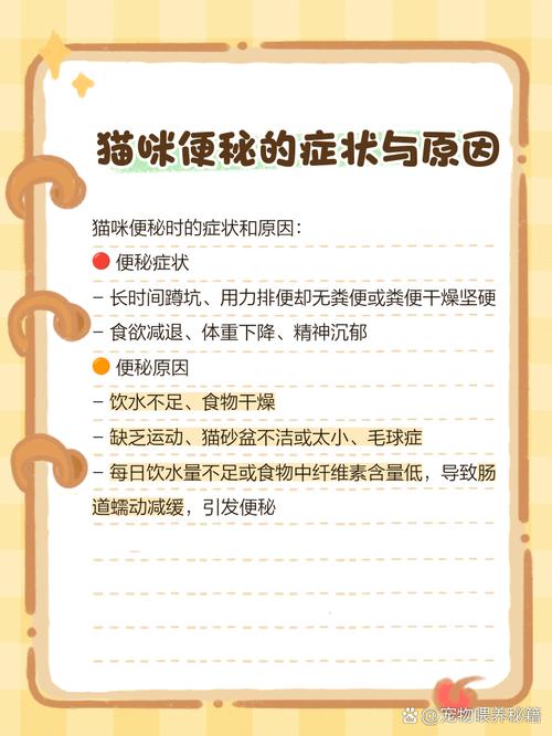 猫拉不出来屎咋办