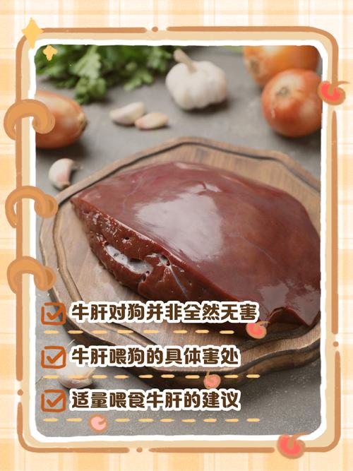 狗吃牛肝的好处与坏处