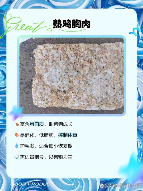 狗狗得了细小在恢复期喂什么好呢