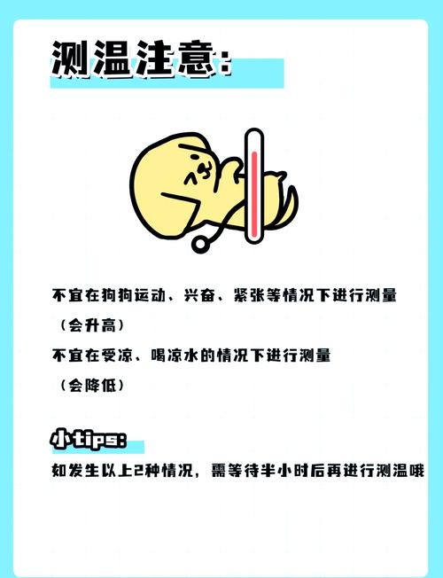 狗狗怎么量体温