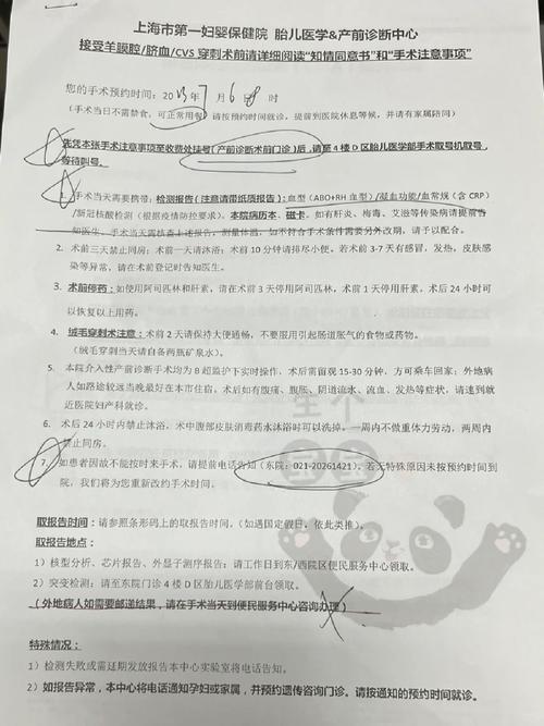 猫咪会来大姨妈吗?