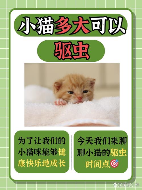 猫多大可以驱虫