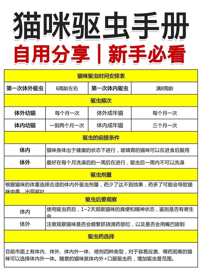 猫咪多大可以驱虫?需要注意哪些?