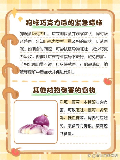 人吃了没事,狗吃了会嗝屁的食物!