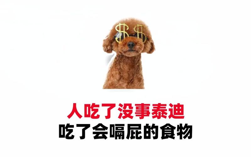 为什么狗狗不能吃巧克力?严重损害身体健康!