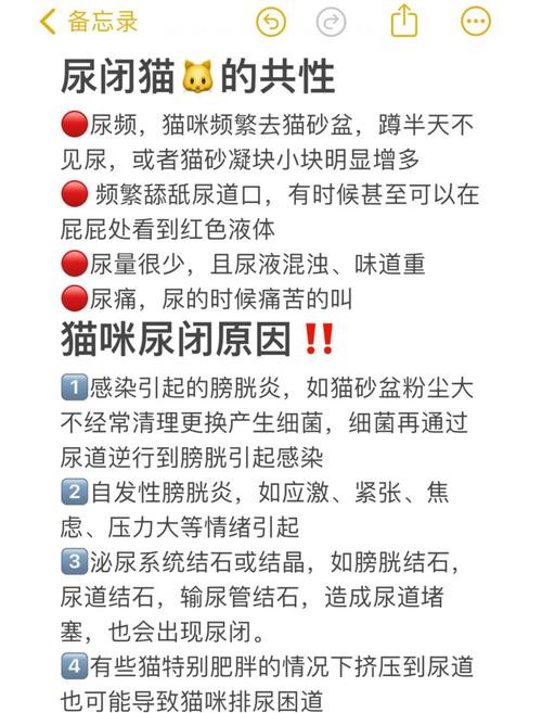 猫一直叫还蹭来蹭去的