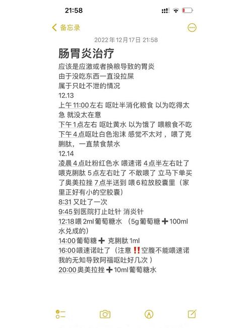 猫咪肠胃炎个人治疗经验分享