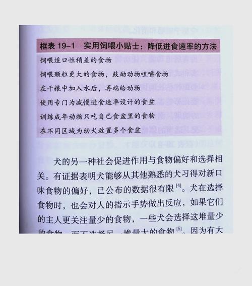 铲屎官们注意啦!狗狗吃得太快可能导致生命危险