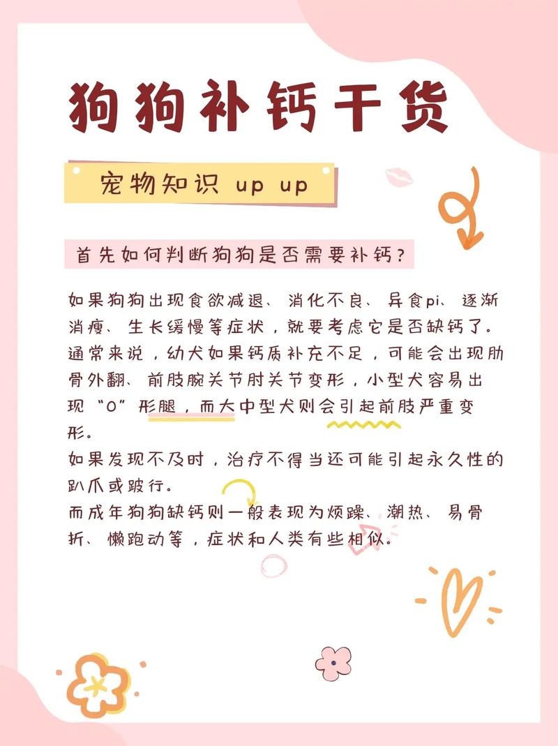 狗狗缺钙的表现有哪些呢?