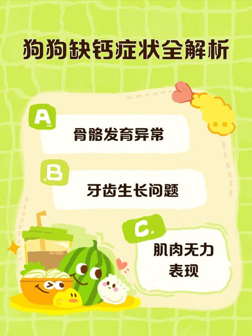 狗狗缺钙的症状,很明显的表现就是这些