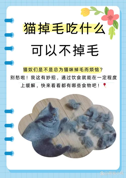 养的猫总是掉毛特别厉害,是否跟吃的猫粮有关系?
