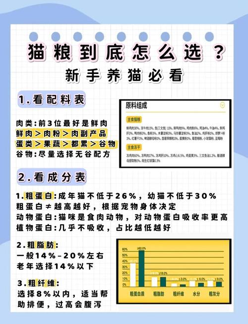猫咪掉毛跟猫粮有关吗
