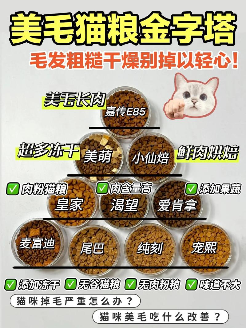 掉毛跟猫粮有关系吗