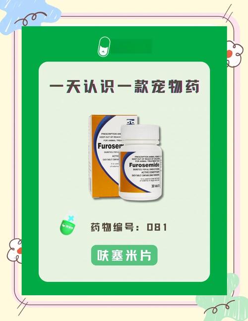 狗狗尿道炎吃什么好得快