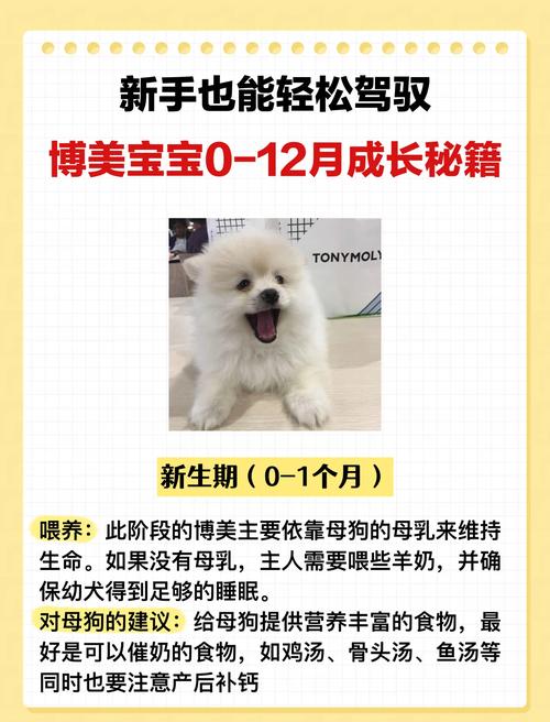 怎么看小狗几个月大了