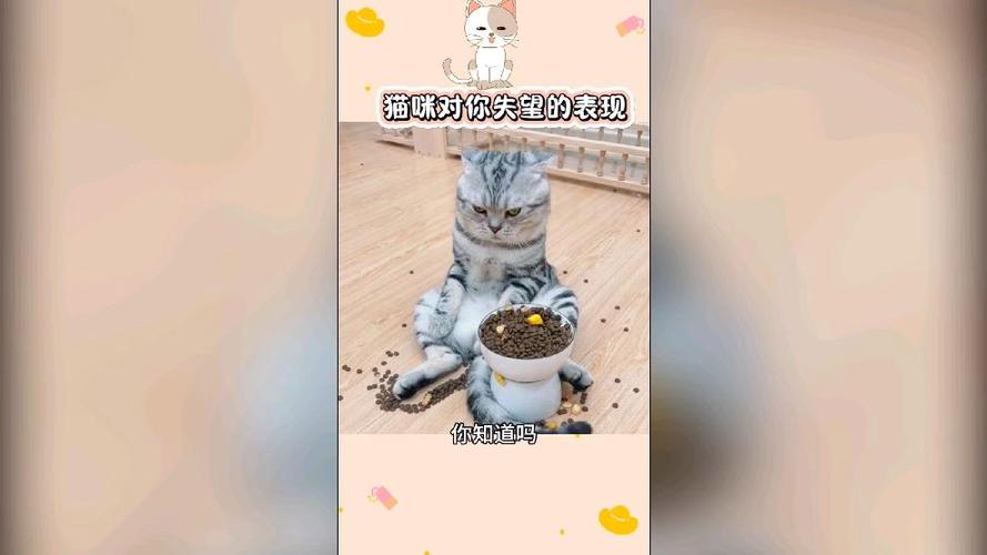 猫咪心情不好的表现有哪些?