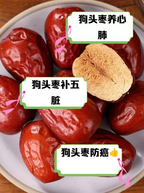 狗狗可以吃枣子吗