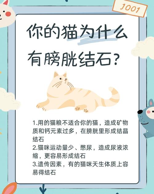 猫得尿结石什么原因引起的
