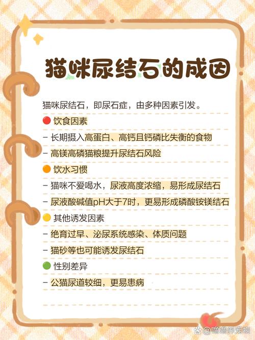 猫为什么会得尿结石