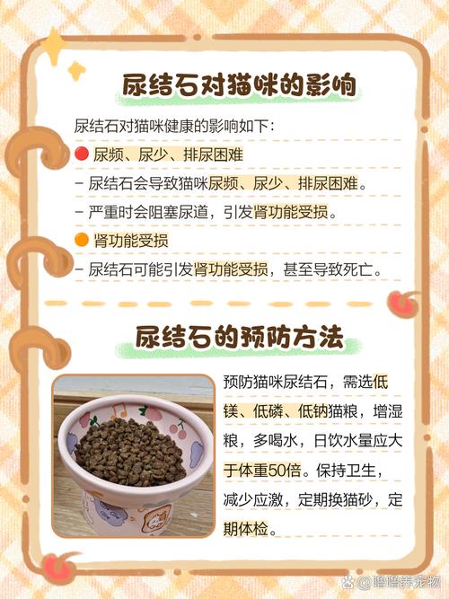 猫咪得尿结石的原因,猫为什么容易得尿结石