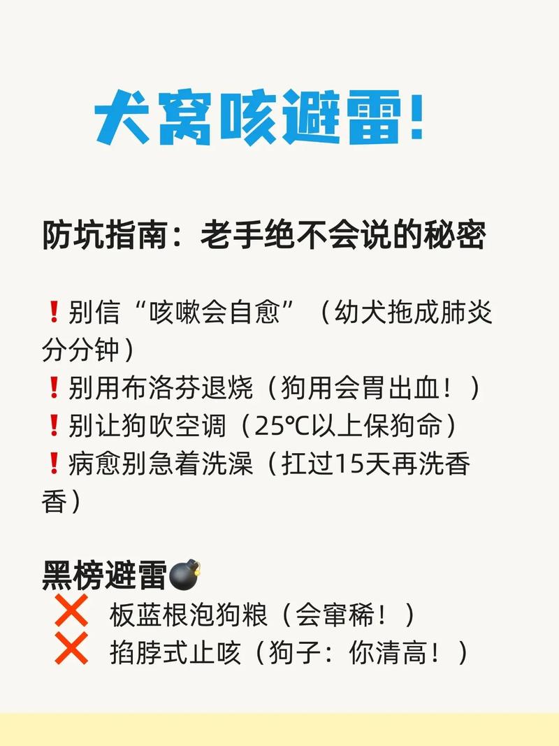 狗狗咳嗽的治疗方法