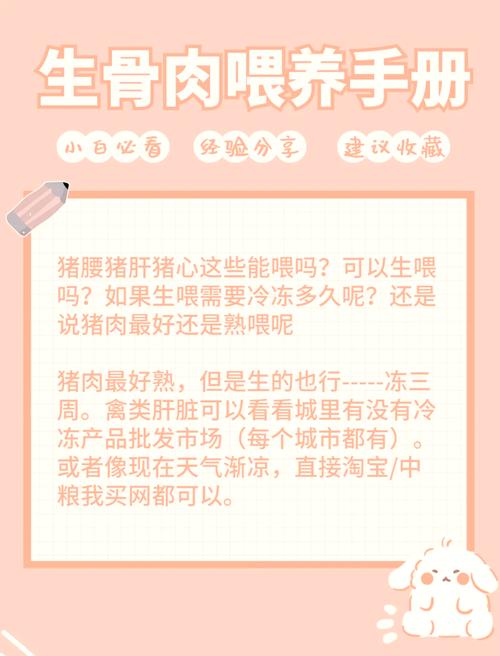 猫生孩子能不能吃猪肝