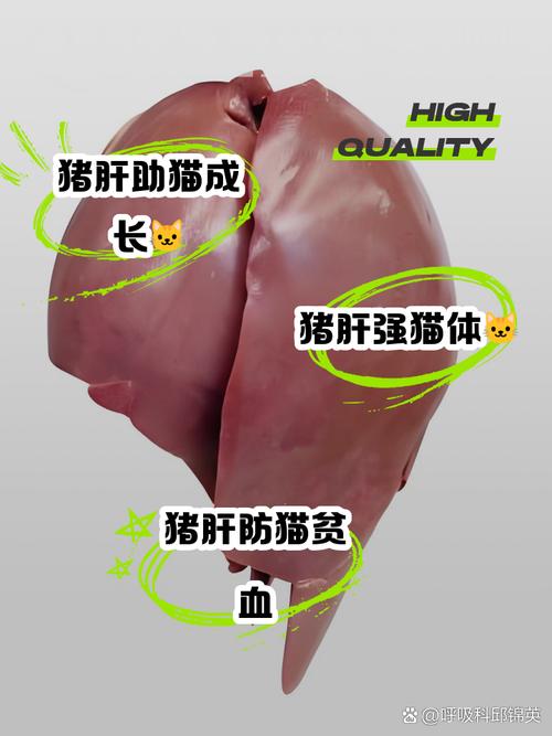 猫咪吃猪肝肾衰竭