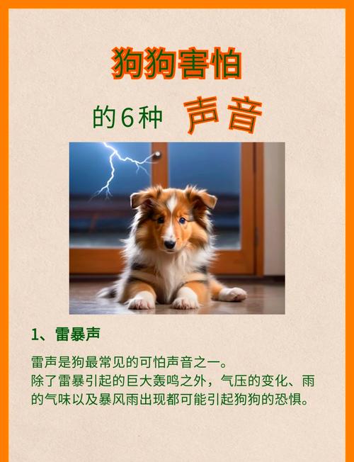 狗狗为什么怕金属撞击声