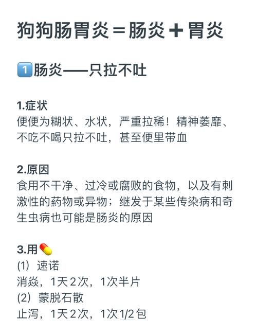 狗肠炎一直拉稀不吃饭怎么办