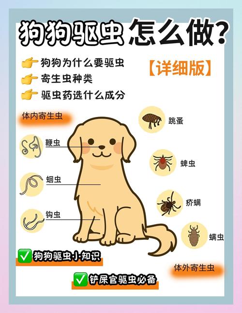 狗狗驱虫科普,铲屎官必看!