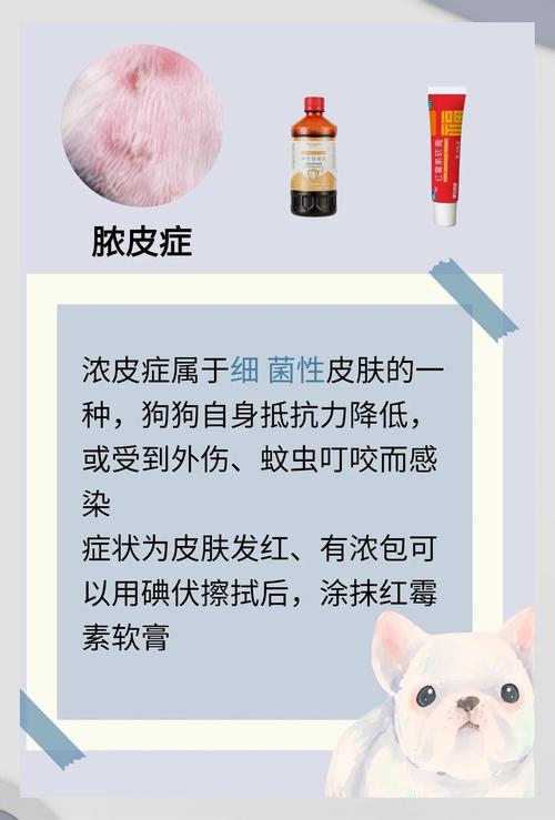 狗狗皮肤病真菌感染用什么药?