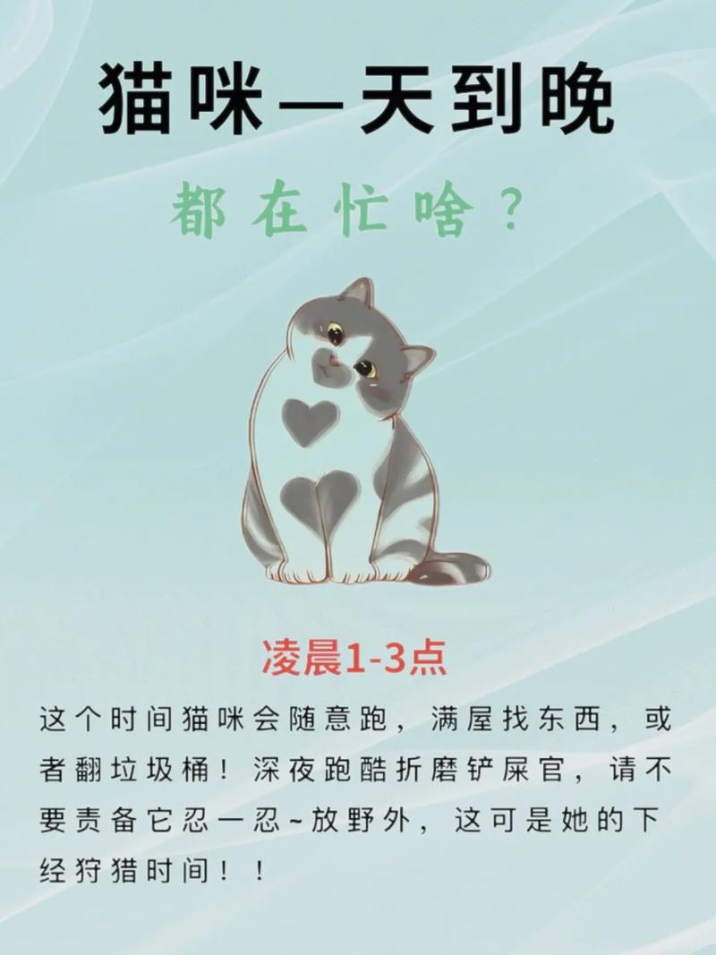 猫咪一天都在想啥?