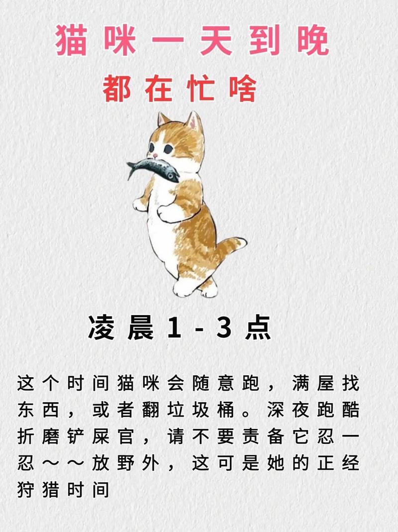 猫咪每天都在想什么