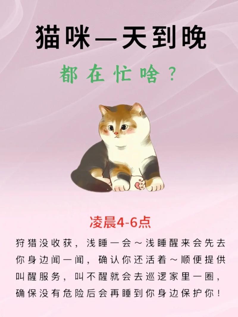 猫脑子里天天在想什么?