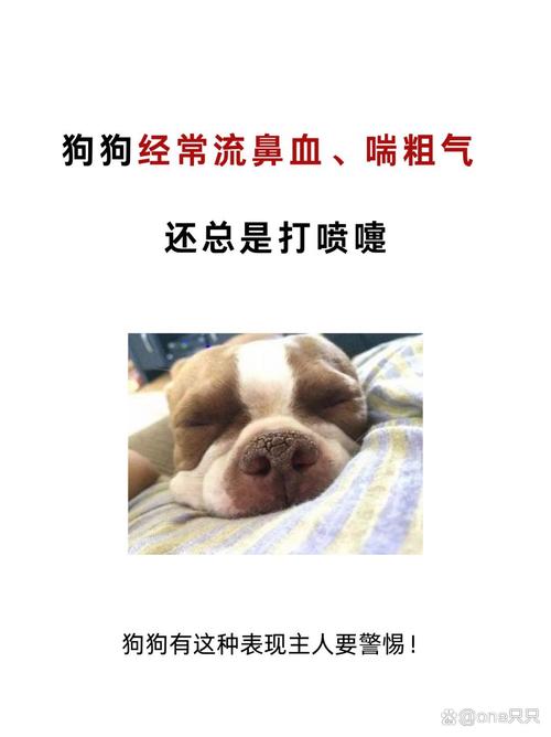 狗狗喘粗气要警惕四种病