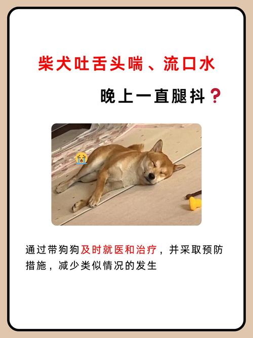 为什么主人一抱狗狗狗狗就喘气急促