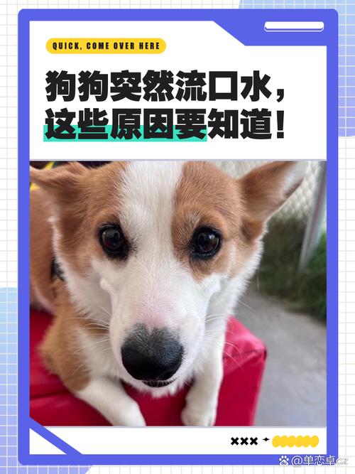 狗狗这几天四肢无力站不起来,还总是喘粗气是怎么回事啊?