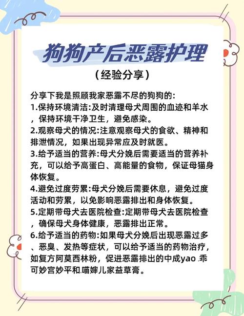 狗狗恶露不干净吃恩诺沙星片有用吗