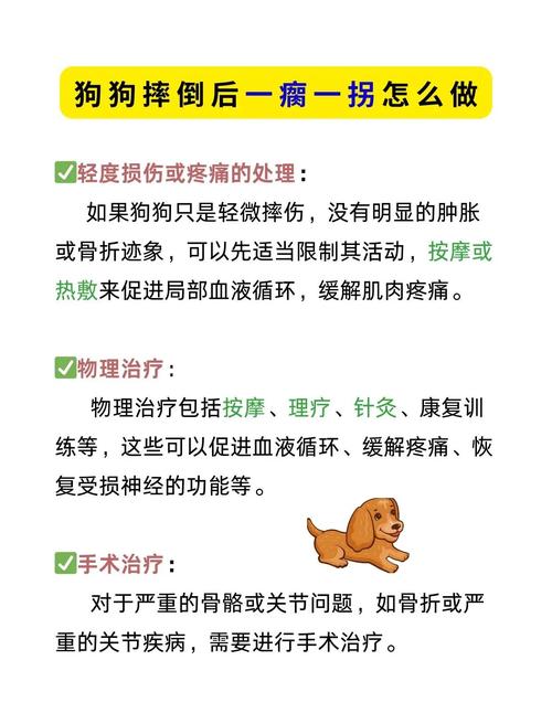 狗狗好几天腿瘸怎么办