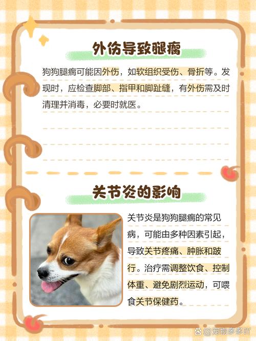 狗狗脚突然瘸了怎么办