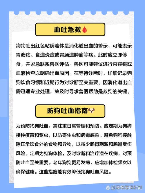 小狗舌头破了流血怎么办