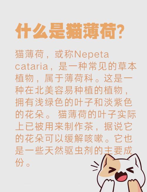 猫薄荷对猫有什么影响吗?