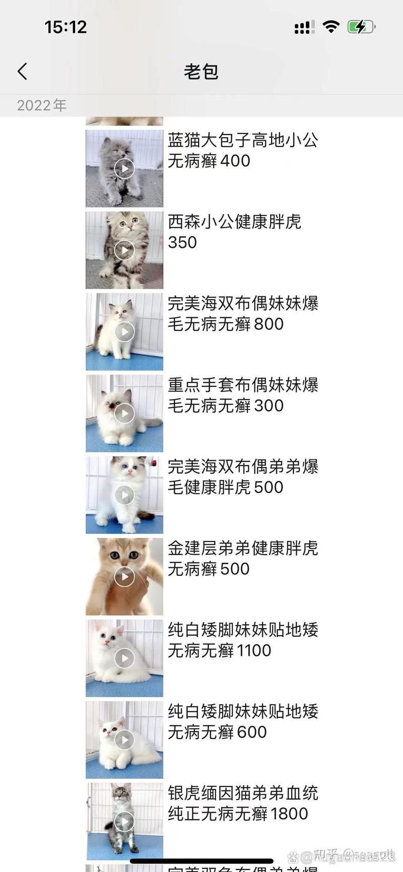 猫薄荷对猫咪是否有副作用