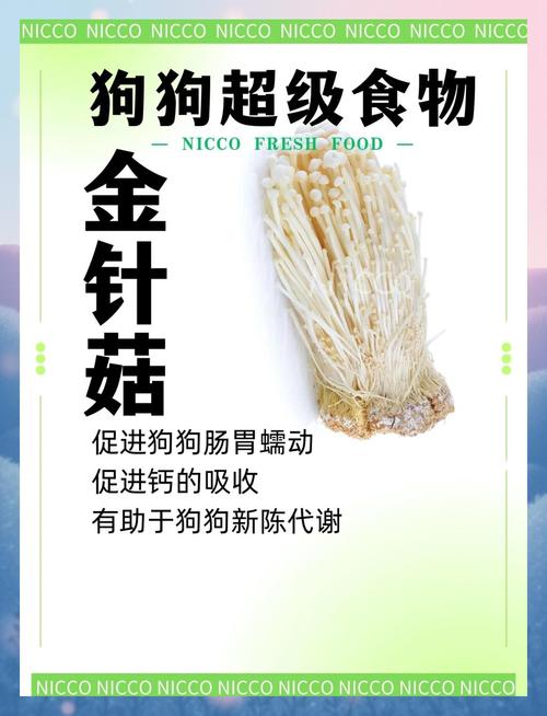 狗狗能吃菌类吗