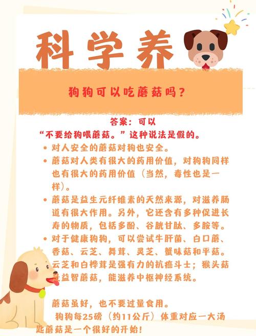 拉布拉多是不不能吃蘑菇